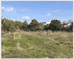  2025Ÿ7691  ֽ ȣ̵ 1348-1       (1)