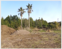  2025Ÿ7691  ֽ ȣ̵ 1348-1       (1)