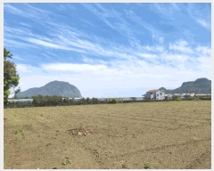  2025Ÿ7734    ȼ 1461      (1)