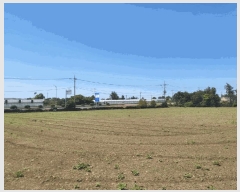  2025Ÿ7734    ȼ 1461      (1)