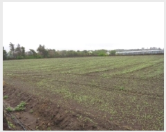  2025Ÿ7734    ȼ 1461      (1)