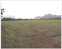  2025Ÿ7734    ȼ 1461      (1)