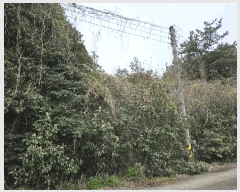  2025Ÿ��7815  �Ӿ߰��