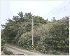  2025Ÿ��7815  �Ӿ߰��