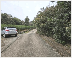  2025Ÿ��7815  �Ӿ߰��