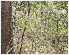  2025Ÿ��7815  �Ӿ߰��