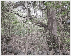  2025Ÿ��7815  �Ӿ߰��