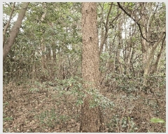  2025Ÿ��7815  �Ӿ߰��