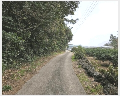  2025Ÿ��7815  �Ӿ߰��