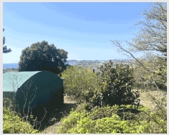  2025Ÿ7842  ֽ ֿ  1908-1      (1)