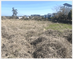  2025Ÿ7842  ֽ ֿ  1908-1      (1)