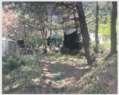  2025Ÿ7842  ֽ ֿ  1908-1      (1)