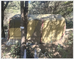  2025Ÿ7842  ֽ ֿ  1908-1      (1)