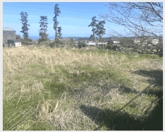  2025Ÿ7842  ֽ ֿ  1908-1      (1)