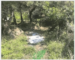  2025Ÿ7842  ֽ ֿ  1908-1      (1)