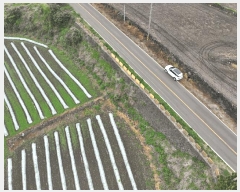  2025Ÿ7870  ֽ ֿ  2434-3      (1)