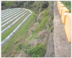  2025Ÿ7870  ֽ ֿ  2434-3      (1)