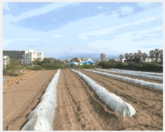  2025Ÿ��7897 ���� ���ֽ� �ֿ��� ������ 1092-1      ����(��1)���