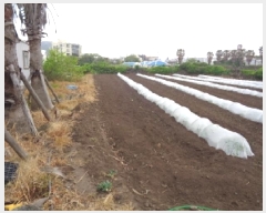  2025Ÿ��7897 ���� ���ֽ� �ֿ��� ������ 1092-1      ����(��1)���