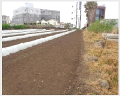  2025Ÿ��7897 ���� ���ֽ� �ֿ��� ������ 1092-1      ����(��1)���