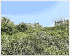  2025Ÿ��7907 ���� ���ֽ� �Ѱ�� �ݵ 428      ����(������)���