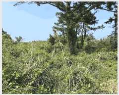  2025Ÿ��7907 ���� ���ֽ� �Ѱ�� �ݵ 428      ����(������)���