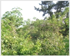  2025Ÿ��7907 ���� ���ֽ� �Ѱ�� �ݵ 428      ����(������)���