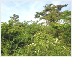  2025Ÿ��7907 ���� ���ֽ� �Ѱ�� �ݵ 428      ����(������)���