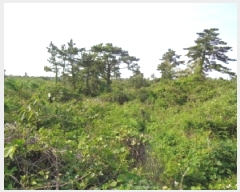  2025Ÿ��7907 ���� ���ֽ� �Ѱ�� �ݵ 428      ����(������)���