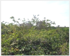  2025Ÿ��7907 ���� ���ֽ� �Ѱ�� �ݵ 428      ����(������)���