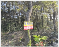  2025Ÿ��7931 ���� �������� ������ ���� 2003-1      ����(�Ӿ�)���