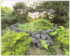  2025Ÿ��7931 ���� �������� ������ ���� 2003-1      ����(�Ӿ�)���