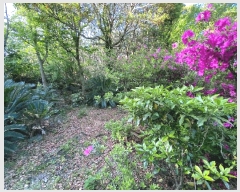  2025Ÿ��7931 ���� �������� ������ ���� 2003-1      ����(�Ӿ�)���