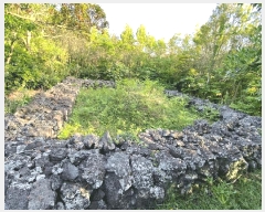  2025Ÿ��7931 ���� �������� ������ ���� 2003-1      ����(�Ӿ�)���