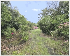  2025Ÿ��7931 ���� �������� ������ ���� 2003-1      ����(�Ӿ�)���