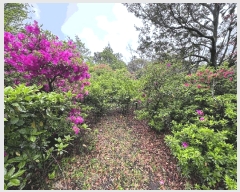  2025Ÿ��7931 ���� �������� ������ ���� 2003-1      ����(�Ӿ�)���