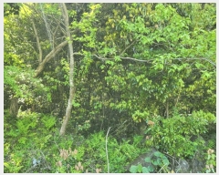  2025Ÿ��7947 ���� �������� �ȴ��� ������ ��3-12      ����(�Ӿ�)���