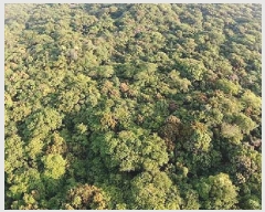  2025Ÿ��7947 ���� �������� �ȴ��� ������ ��3-12      ����(�Ӿ�)���