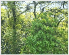  2025Ÿ��7947 ���� �������� �ȴ��� ������ ��3-12      ����(�Ӿ�)���