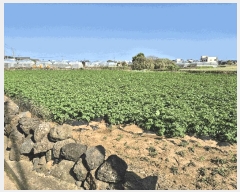  2025Ÿ��7956 ���� �������� ������ �ϰ��� 169      ����(��1)���