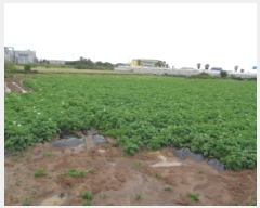  2025Ÿ��7956 ���� �������� ������ �ϰ��� 169      ����(��1)���