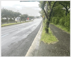  2025Ÿ��7991 ���� ���ֽ� ������ 3237-3       ����(����)���