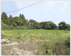  2025Ÿ��8131  �����