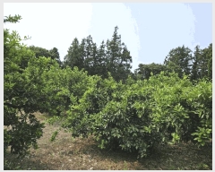  2025Ÿ��8131 ���� �������� ǥ���� ���ø� 1812-1      ����,â�����