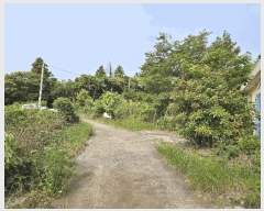  2025Ÿ��8131 ���� �������� ǥ���� ���ø� 1812-1      ����,â�����