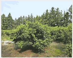  2025Ÿ��8131 ���� �������� ǥ���� ���ø� 1812-1      ����,â�����