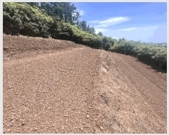  2025Ÿ��8140 ���� �������� ������ �ŵ��� 1295      ����(��1)���