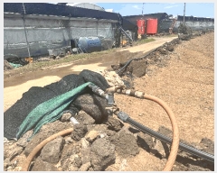  2025Ÿ��8140 ���� �������� ������ �ŵ��� 1295      ����(��1)���