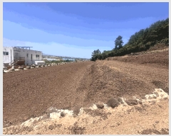  2025Ÿ��8140 ���� �������� ������ �ŵ��� 1295      ����(��1)���