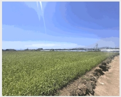  2025Ÿ��8140 ���� �������� ������ �ŵ��� 1295      ����(��1)���